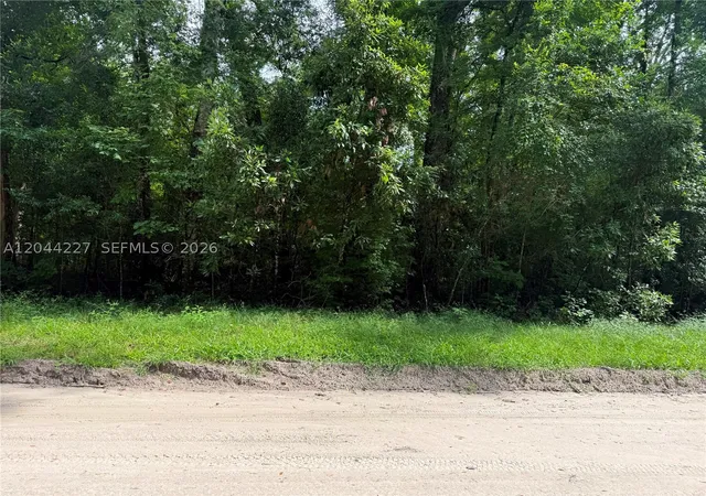 Homes for sale in ,, FL | 36 Sw Bumble Street Fort White, ,, FL 32038 | MLS# A12044227