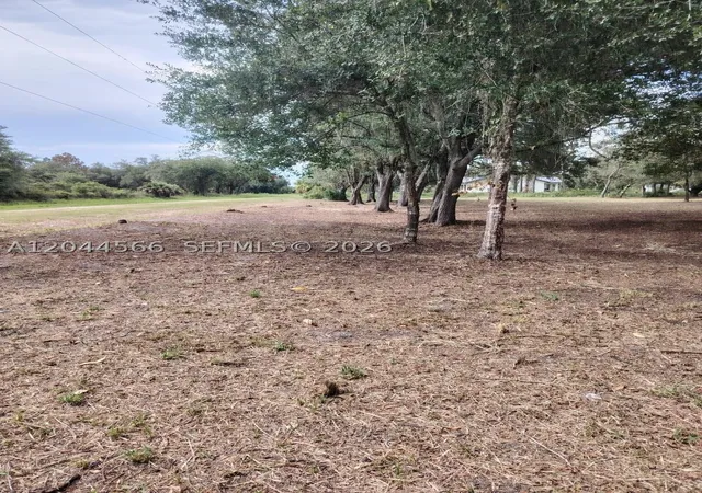 4th image of 175 Avenida Del Club, Clewiston, FL 33440 | MLS# A12044566