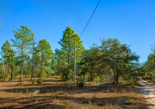 Photo 3 of Land for sale at 130 Indianapolis St, Hawthorne, FL 32640 | MLS# A12053540 | Listing updated on 2026-10-06