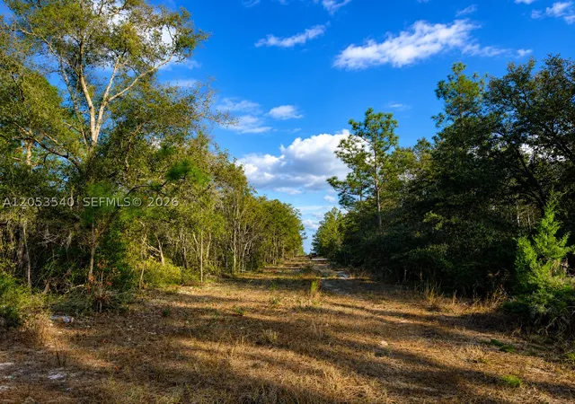 Photo 4 of Land for sale at 130 Indianapolis St, Hawthorne, FL 32640 | MLS# A12053540 | Listing updated on 2026-10-06