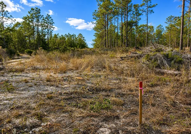 Photo 3 of Land for sale at 130 Indianapolis St, Hawthorne, FL 32640 | MLS# A12053540 | Listing updated on 2026-10-06