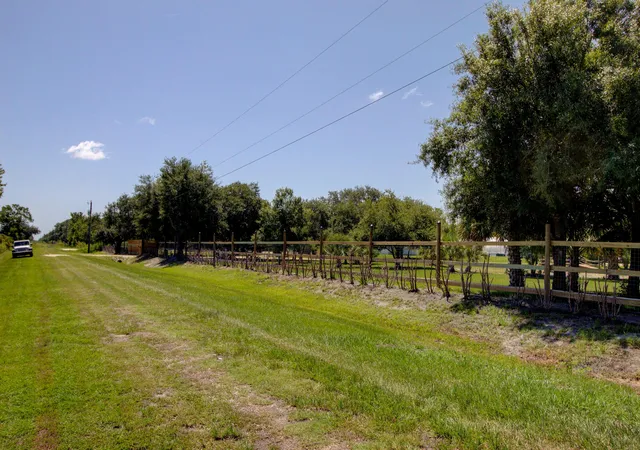33rd image of 19034 Nw 292nd St, Okeechobee, FL 34972 | MLS# B26059056