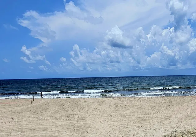 34th image of 1461 S Ocean Blvd #311, Lauderdale By The Sea, FL 33062 | MLS# B26059412