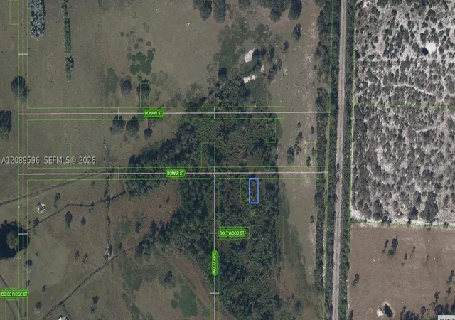 Photo 2 of Land for sale at 525 Bomar St, Venus, FL 33960 | MLS# A12089596 | Listing updated on 2026-09-16