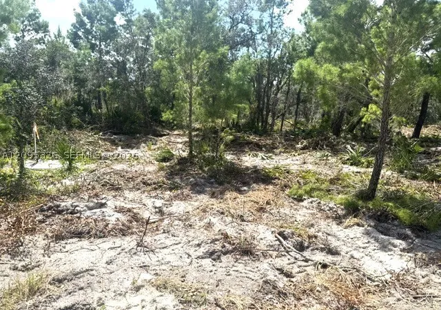 Land for sale at 206 Oriole Ave, Sebring, FL 33870 | MLS# A12095326