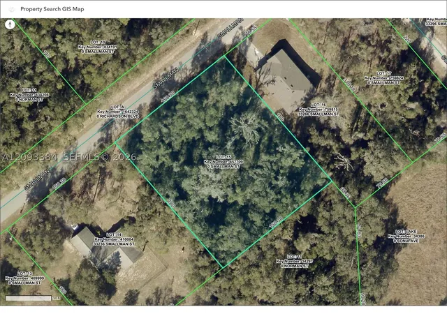 Land for sale at 0 Smallman St, Webster, FL 33597 | MLS# A12093384
