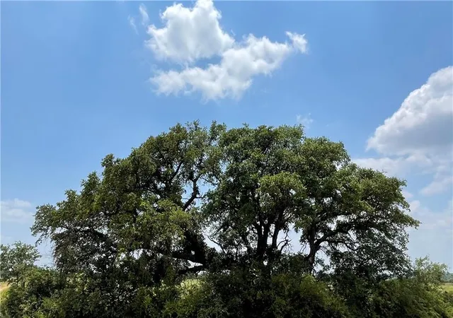 1st image of 0 377 S Hwy, Brownwood, TX 76827 | MLS# 2675195