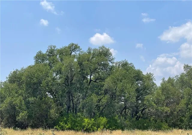 4th image of 0 377 S Hwy, Brownwood, TX 76827 | MLS# 2675195