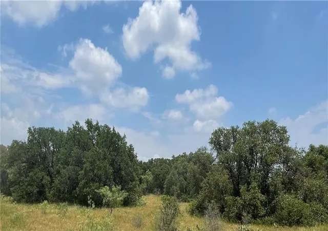5th image of 0 377 S Hwy, Brownwood, TX 76827 | MLS# 2675195