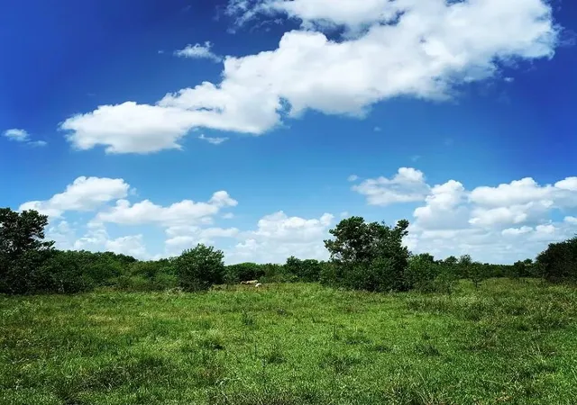 1st image of 00000 Fm 1462 Rd, West Columbia, TX 77430 | MLS# 4589698