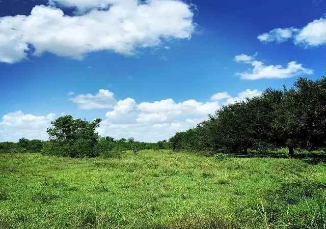 3rd image of 00000 Fm 1462 Rd, West Columbia, TX 77430 | MLS# 4589698