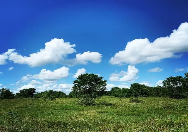 4th image of 00000 Fm 1462 Rd, West Columbia, TX 77430 | MLS# 4589698