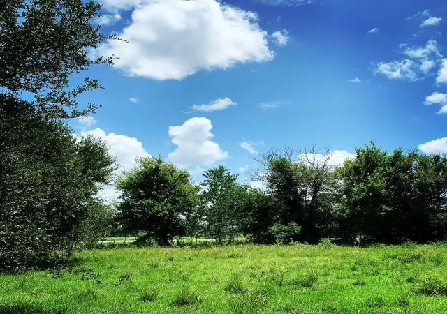 5th image of 00000 Fm 1462 Rd, West Columbia, TX 77430 | MLS# 4589698
