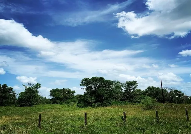 6th image of 00000 Fm 1462 Rd, West Columbia, TX 77430 | MLS# 4589698