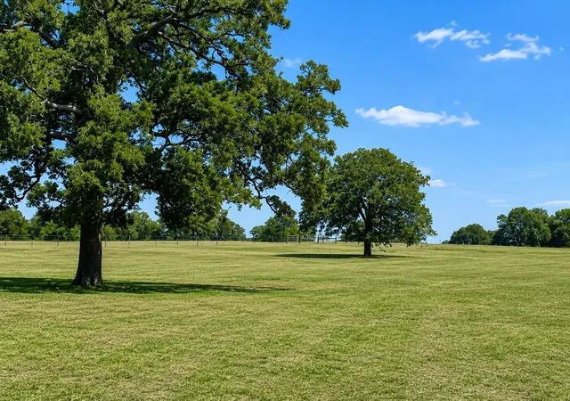 Homes for sale in Giddings, TX | 1583 S Us Hwy 77 Hwy, Giddings, TX 78942 | MLS# 1888178