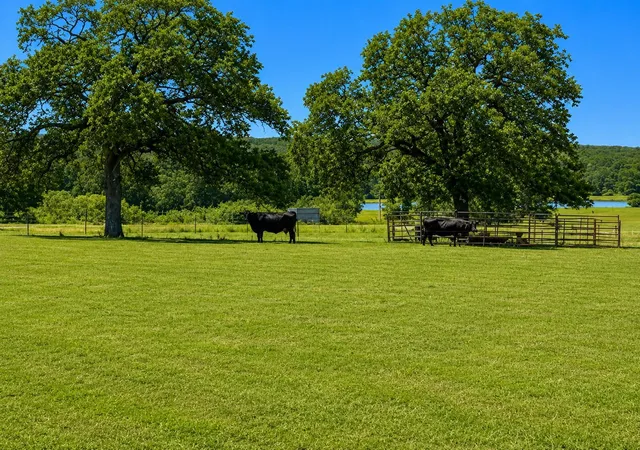 Homes for sale in Giddings, TX | 1583 S Us Hwy 77 Hwy, Giddings, TX 78942 | MLS# 1888178