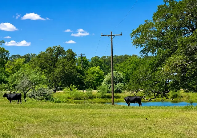 Homes for sale in Giddings, TX | 1583 S Us Hwy 77 Hwy, Giddings, TX 78942 | MLS# 1888178