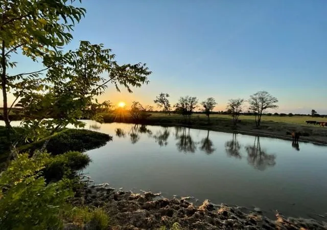 1st image of Tbd Cr 358, Gause, TX 77857 | MLS# 8736144