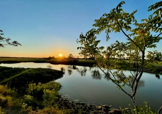 2nd image of Tbd Cr 358, Gause, TX 77857 | MLS# 8736144