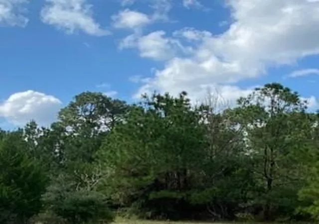 1st image of 230 Cougar Park Rd, Hunt, TX 78024 | MLS# 3087518