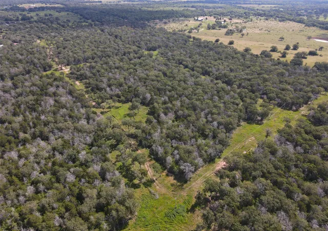 1st image of Tbd High Crossing Rd   Tract 8, Smithville, TX 78957 | MLS# 9026831