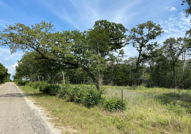 13th image of Tbd High Crossing Rd   Tract 8, Smithville, TX 78957 | MLS# 9026831