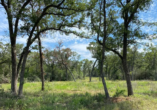 4th image of Tbd High Crossing Rd - Tract 8, Smithville, TX 78957 | MLS# 9026831