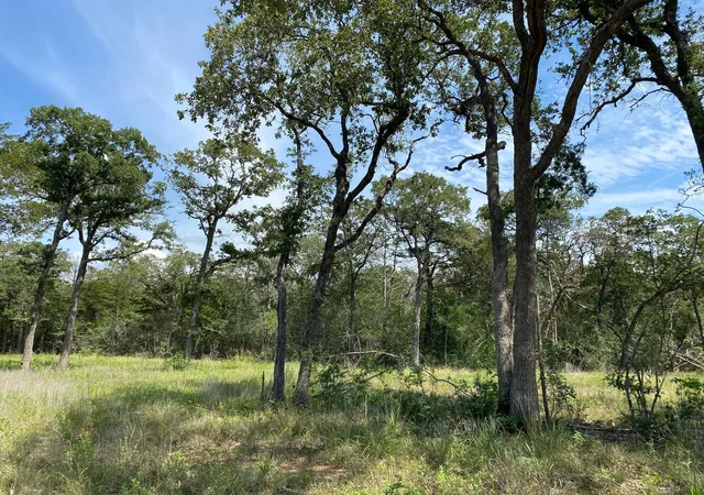 5th image of Tbd High Crossing Rd - Tract 8, Smithville, TX 78957 | MLS# 9026831