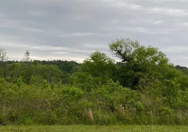 Photo 2 of Land for sale at Tbd Highway 31, Chandler, TX 75758 | MLS# 1681773 | Listing updated on 2026-03-16