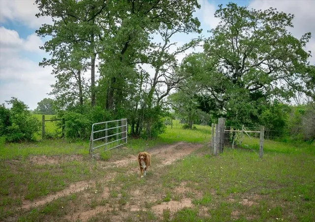 Homes for sale in Harwood, TX | 1890 Sandy Fork Rd, Harwood, TX 78632 | MLS# 3410404