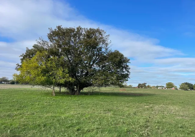Photo 1 of Land for sale at 741 Muzny Ln, La Grange, TX 78945 | MLS# 3177341 | Listing updated on 2026-09-09