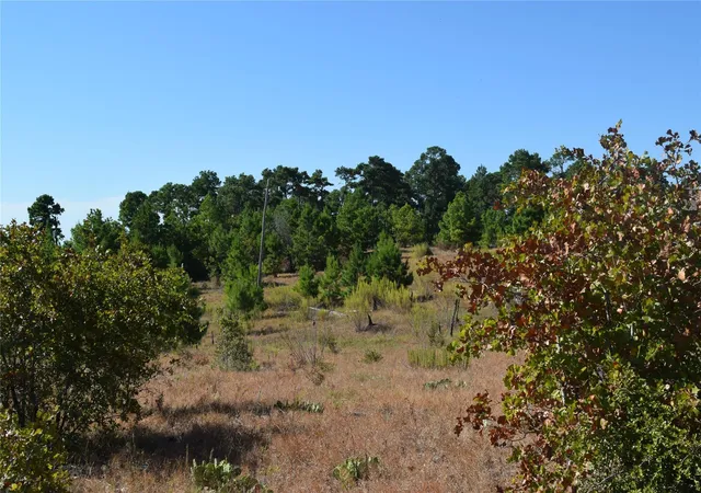 Land for sale at (Undisclosed), Smithville, TX 78957 | MLS# 6863054 | Listing updated on 2025-12-11