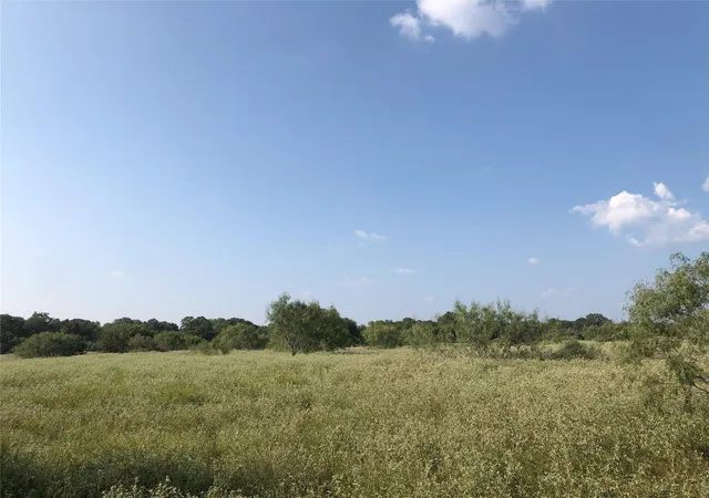 Homes for sale in Lockhart, TX | Lot 3d Wild Plum Rd, Lockhart, TX 78644 | MLS# 9218092
