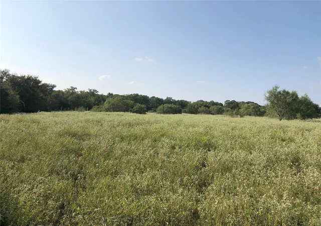 Homes for sale in Lockhart, TX | Lot 3D Wild Plum Rd, Lockhart, TX 78644 | MLS# 9218092
