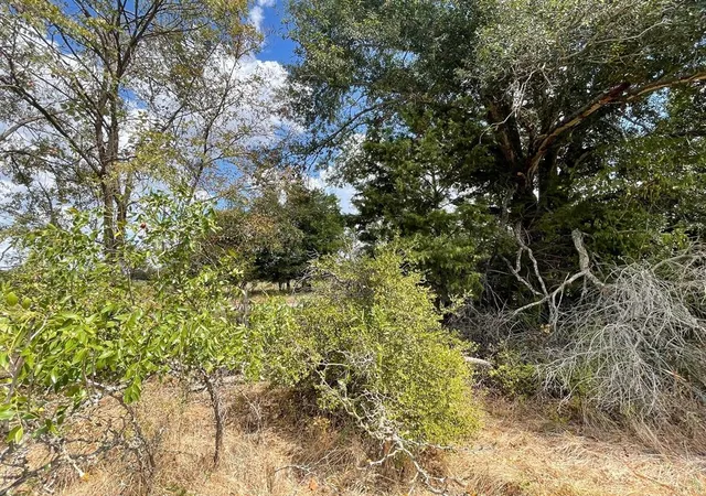 4th image of 281 E Fm 979, Franklin, TX 77856 | MLS# 5305580