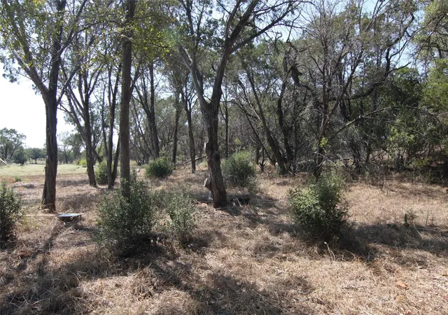 Homes for sale in Spicewood, TX | Lot 78 Laurel Wood Ct, Spicewood, TX 78669 | MLS# 2844724