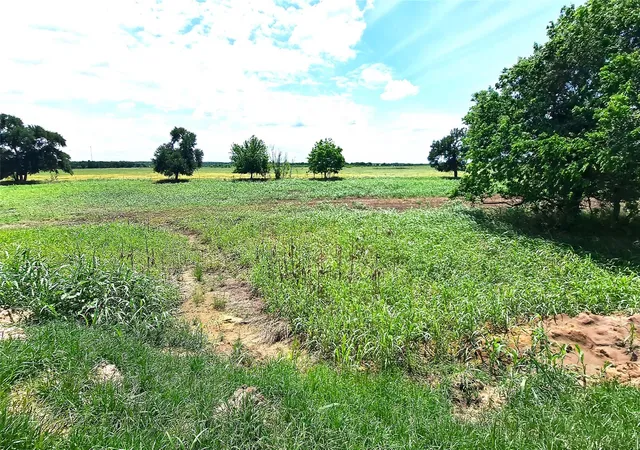 4th image of Tract 3 County Road 432 Rd, Rockdale, TX 76567 | MLS# 9456560