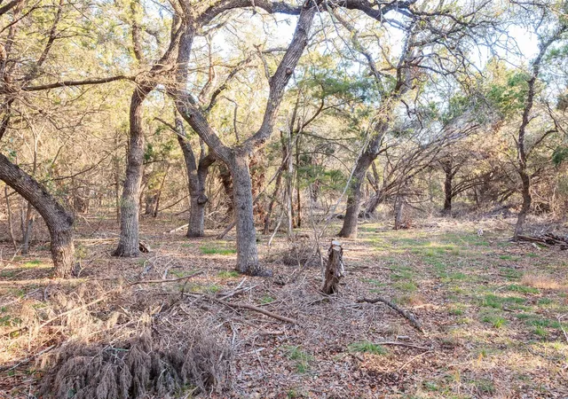 1st image of 202,204,208 Thomas Oaks Dr, Wimberley, TX 78676 | MLS# 9927035