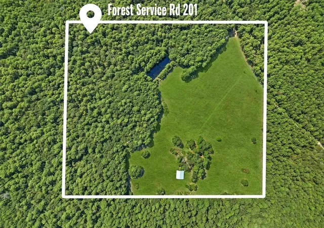 1st image of 00 Forest Service Road 201, Coldspring, TX 77328 | MLS# 9756009