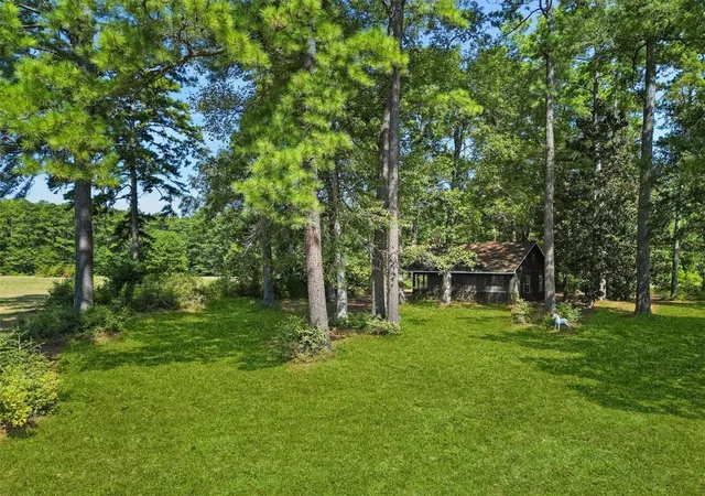 2nd image of 00 Forest Service Road 201, Coldspring, TX 77328 | MLS# 9756009