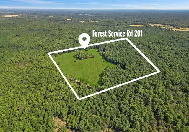 9th image of 00 Forest Service Road 201, Coldspring, TX 77328 | MLS# 9756009