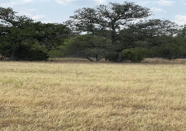 Photo 3 of Land for sale at 504 Sandy School Rd, Johnson City, TX 78636 | MLS# 2158896 | Listing updated on 2026-08-24