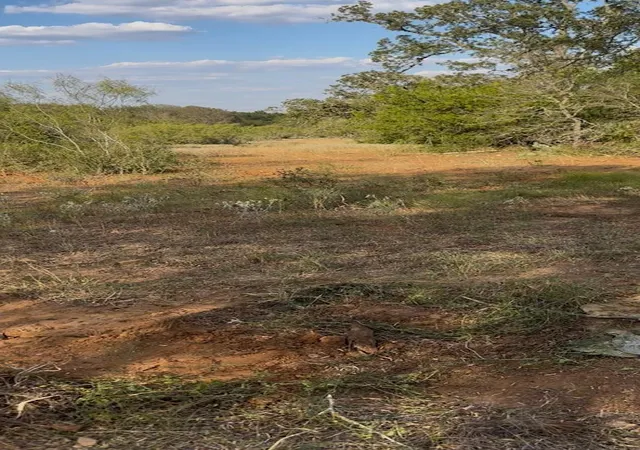 1st image of 000 Carter Rd, Dale, TX 78616 | MLS# 4315246
