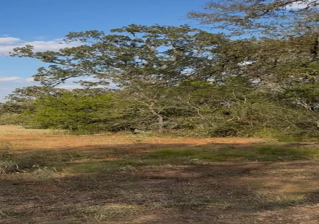 2nd image of 000 Carter Rd, Dale, TX 78616 | MLS# 4315246