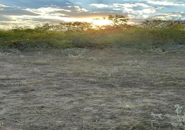 3rd image of 000 Carter Rd, Dale, TX 78616 | MLS# 4315246