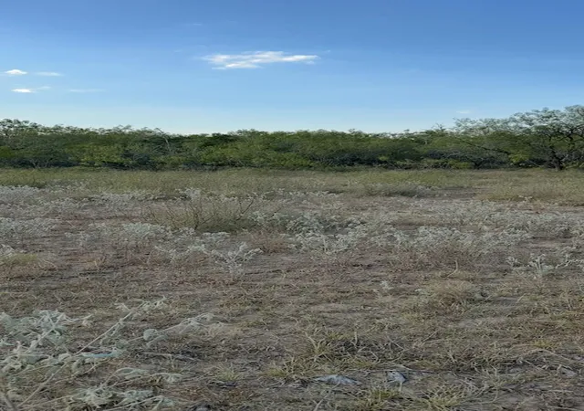4th image of 000 Carter Rd, Dale, TX 78616 | MLS# 4315246