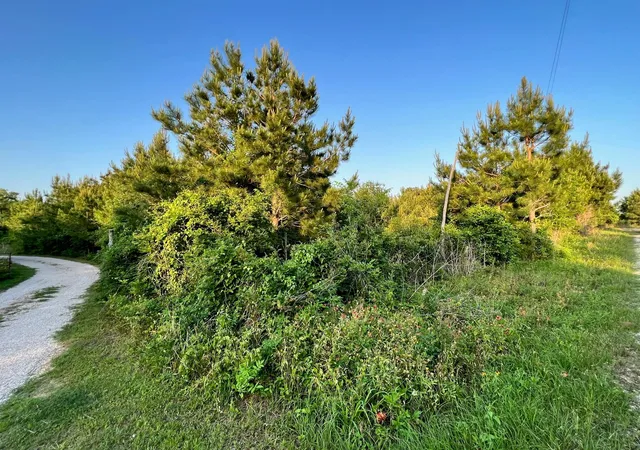 3rd image of Lot 27 Kinsey Rd, Paige, TX 78659 | MLS# 4857784