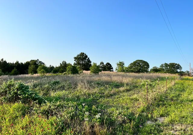 5th image of Lot 27 Kinsey Rd, Paige, TX 78659 | MLS# 4857784