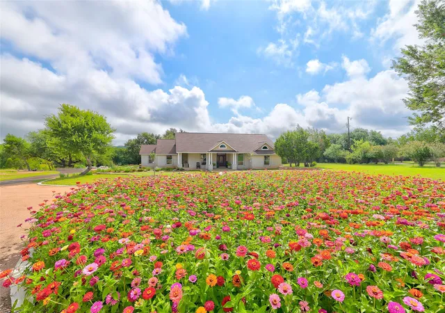 Photo 3 of Single family home for sale at 404 Mustang Way, Georgetown, TX 78633 | MLS# 5696182 | Listing updated on 2026-08-30