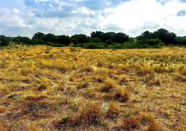 Photo 3 of Land for sale at 235 Alexandra Ln, Dale, TX 78616 | MLS# 9326249 | Listing updated on 2026-10-14